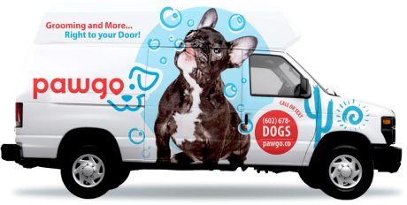 Mobile deals puppy grooming