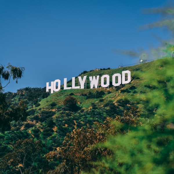 Image of Hollywood