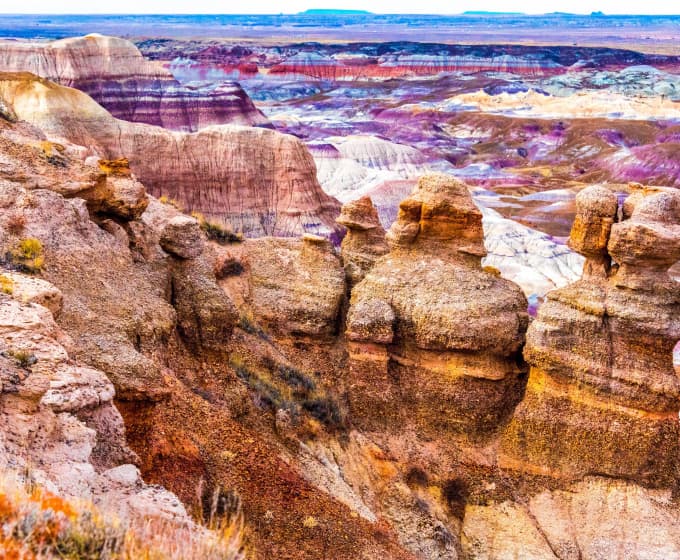 Image of Petrified Forest National Park