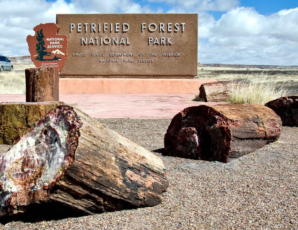 Image of Advertisement in the Petridied Forest National Park