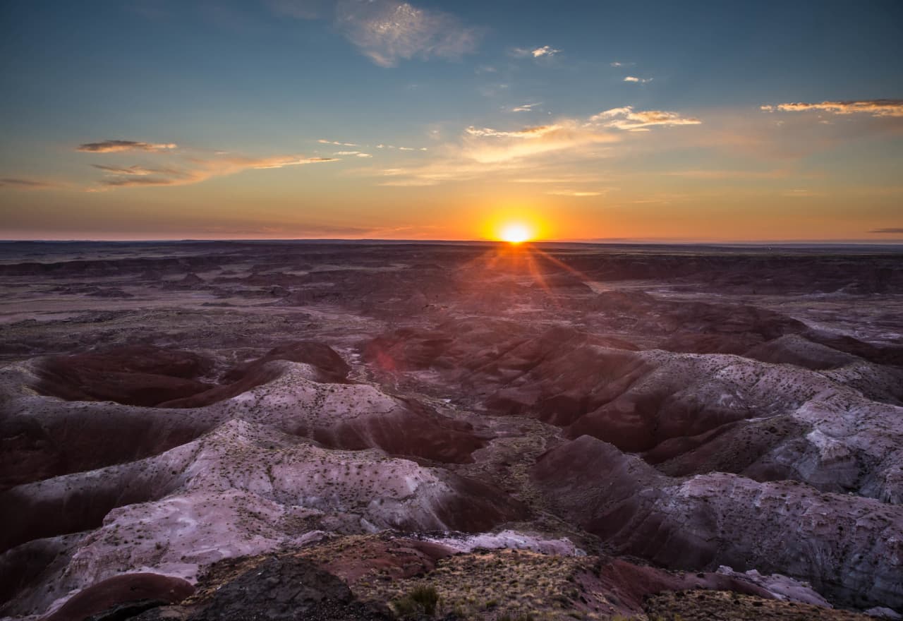 Image of Petridied Forest National Park