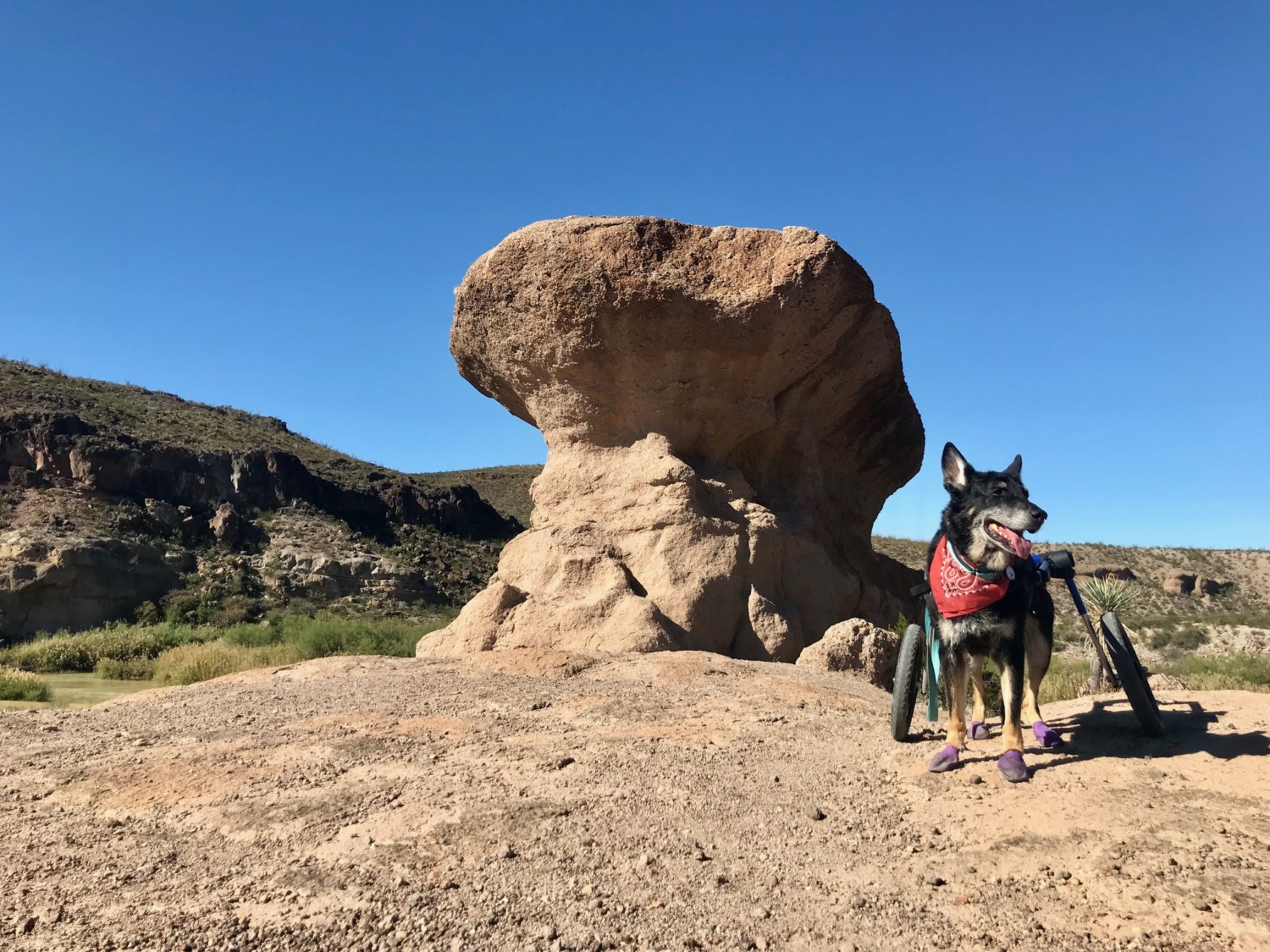 Big Bend National Park