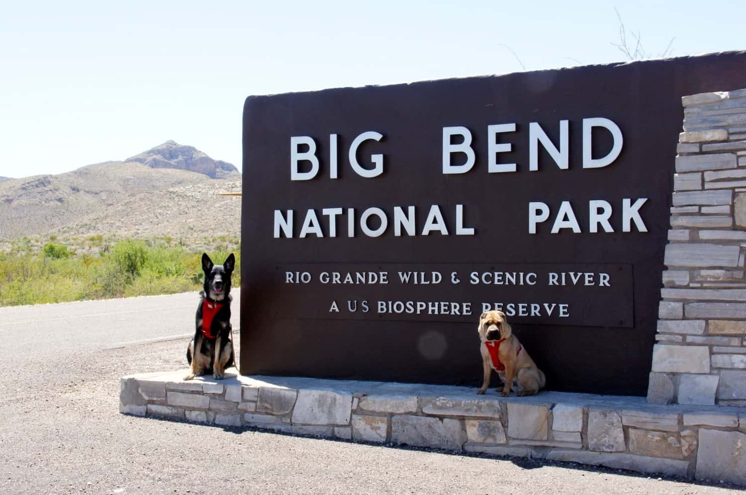 big bend national park