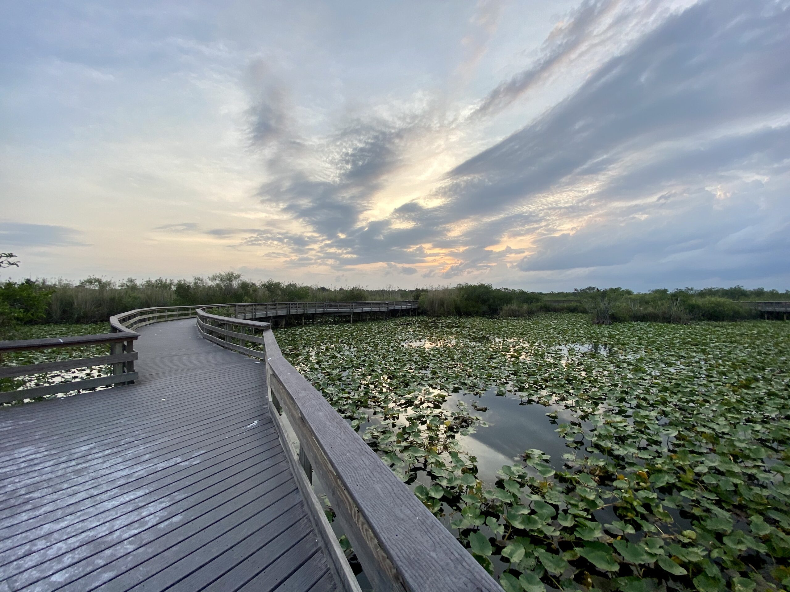 Everglades National Park Flolrida